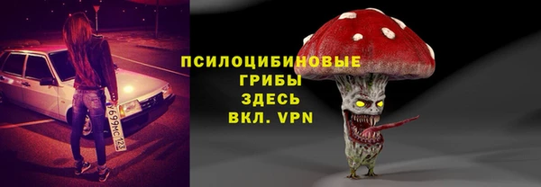 соль ск Волосово