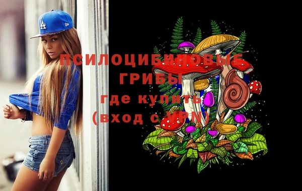 соль ск Волосово