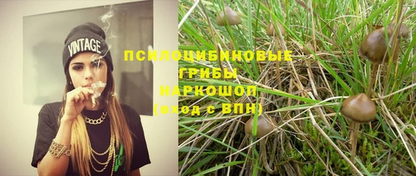 соль ск Волосово
